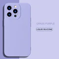 Grass Purple TSY