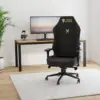 Gaming Chair Ergonomic PC Game Chair- Lumbar Support Headrest 4D Armrests Computer Chair, Big and Tall Comfortable Large, 2
