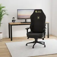 Gaming Chair Ergonomic PC Game Chair- Lumbar Support Headrest 4D Armrests Computer Chair, Big and Tall Comfortable Large, 2