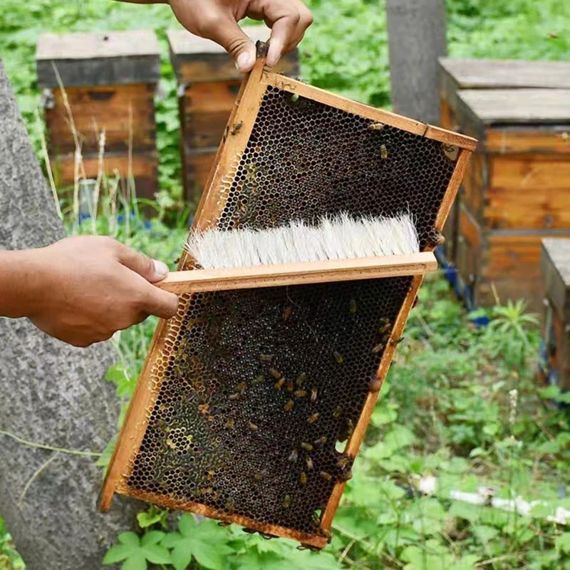 Beekeeping Tools Wood Honey Brush Wasp bee Sweep Horse Tail Hair