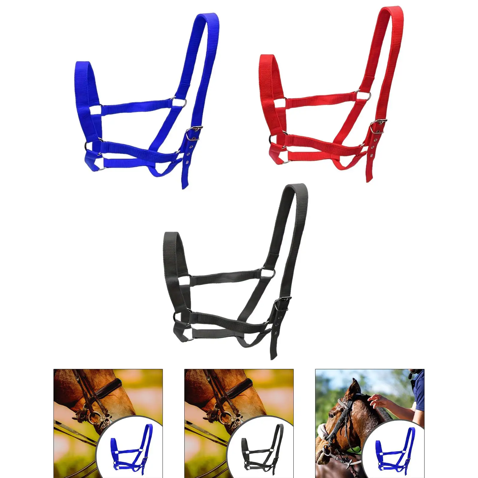 حبل تدريب خيل متين قابل للتعديل | متجر الجيل الأخض...