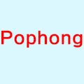 Shenzhen Pophong Store