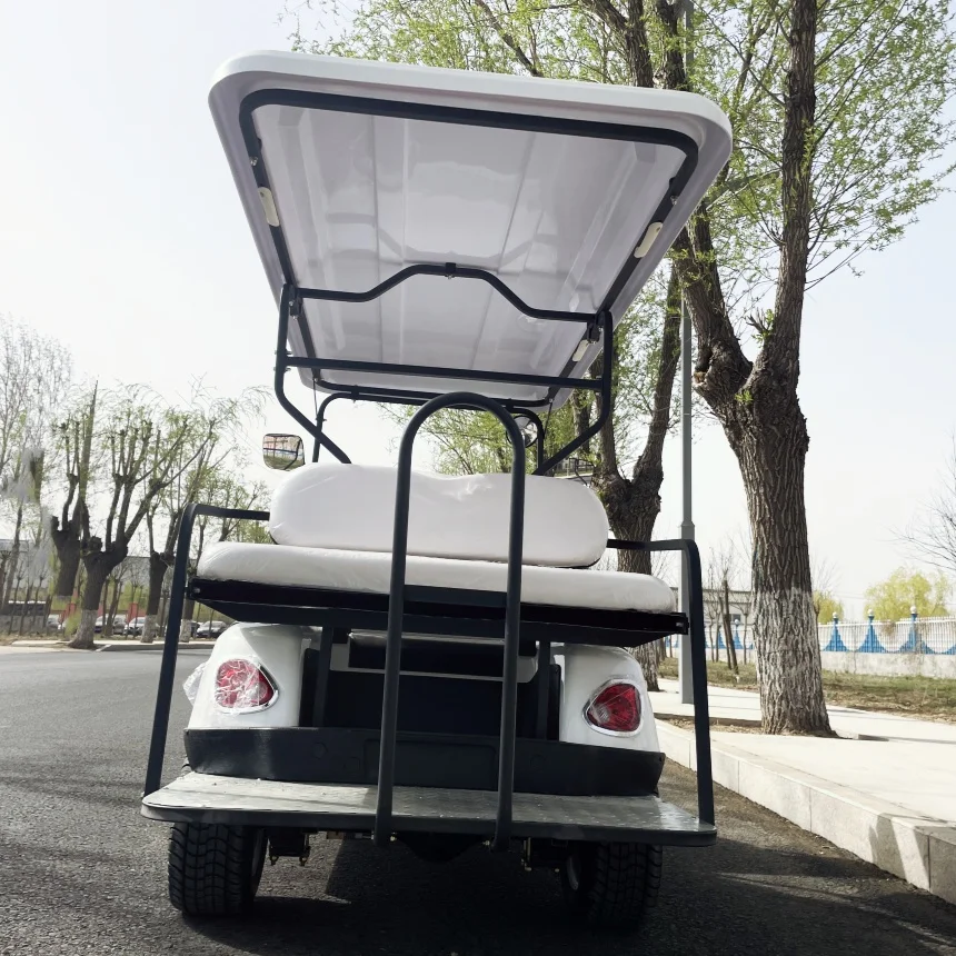 Electric Golf Cart Hot Sale 2 Seat Club VIP Modern Fashion Adult Electric Car Free Color Golf Scooter