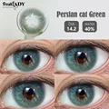 Persian Cat Green