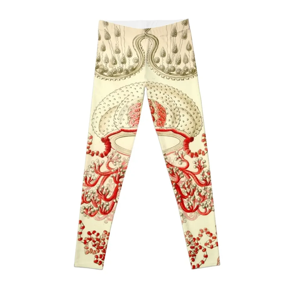 

Anthomedusae - Ernst Haeckel Leggings fitness set gym sports shirts gym jogging pants legings for fitness Womens Leggings