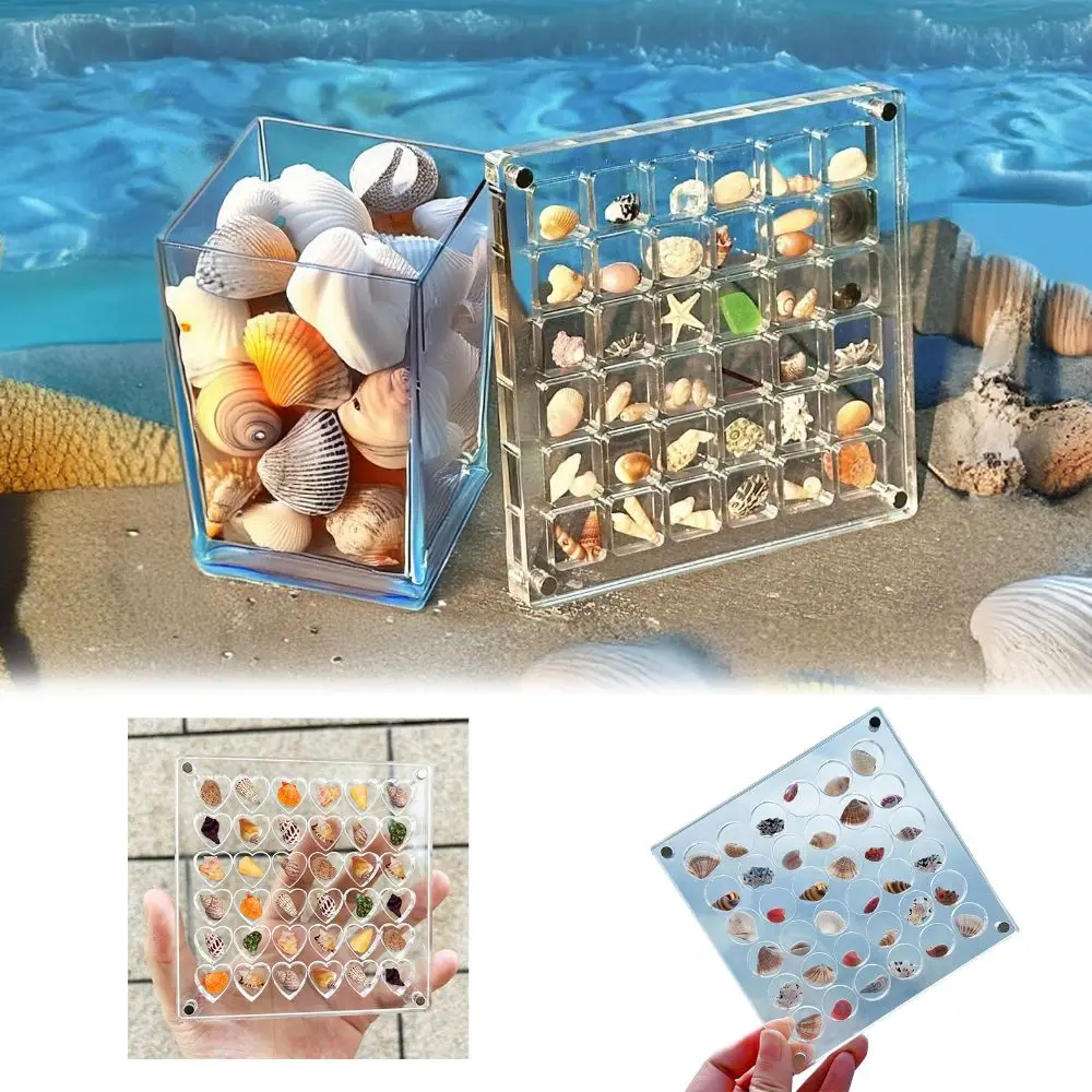 Acrylic Magnetic Seashell Display Box 36/64Grids Circle & Heart Jewelry Display Cases Container With Lid Small 2