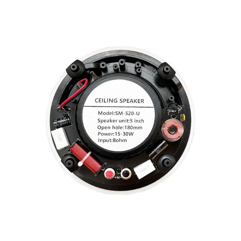 5 inch ceiling speaker 30W 2 frequency division coaxial 8Ohm mounted High fidelity Clear sound quality home Theater music system