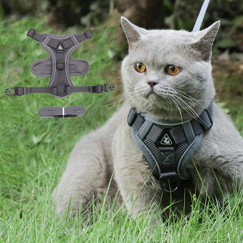 High Quality Fashion Cat Dog Harness and Leash Set Reflective Pet Harnesses Vest for Cats Small Dogs Pets Out Door Walk Supplies High Quality Fashion Cat Dog Harness and Leash Set Reflective Pet Harnesses Vest for Cats Small Dogs Pets Out Door Walk Supplies