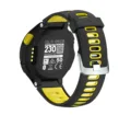 Black and Yellow
