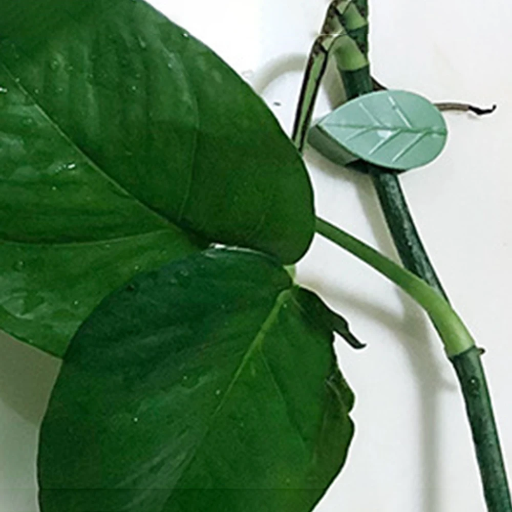 Plant Clips 10/20/30Pcs Climbing Wall Fixer Leaf Type Green Invisible Fixing Device Vine Fastener Snap Traction Shaping