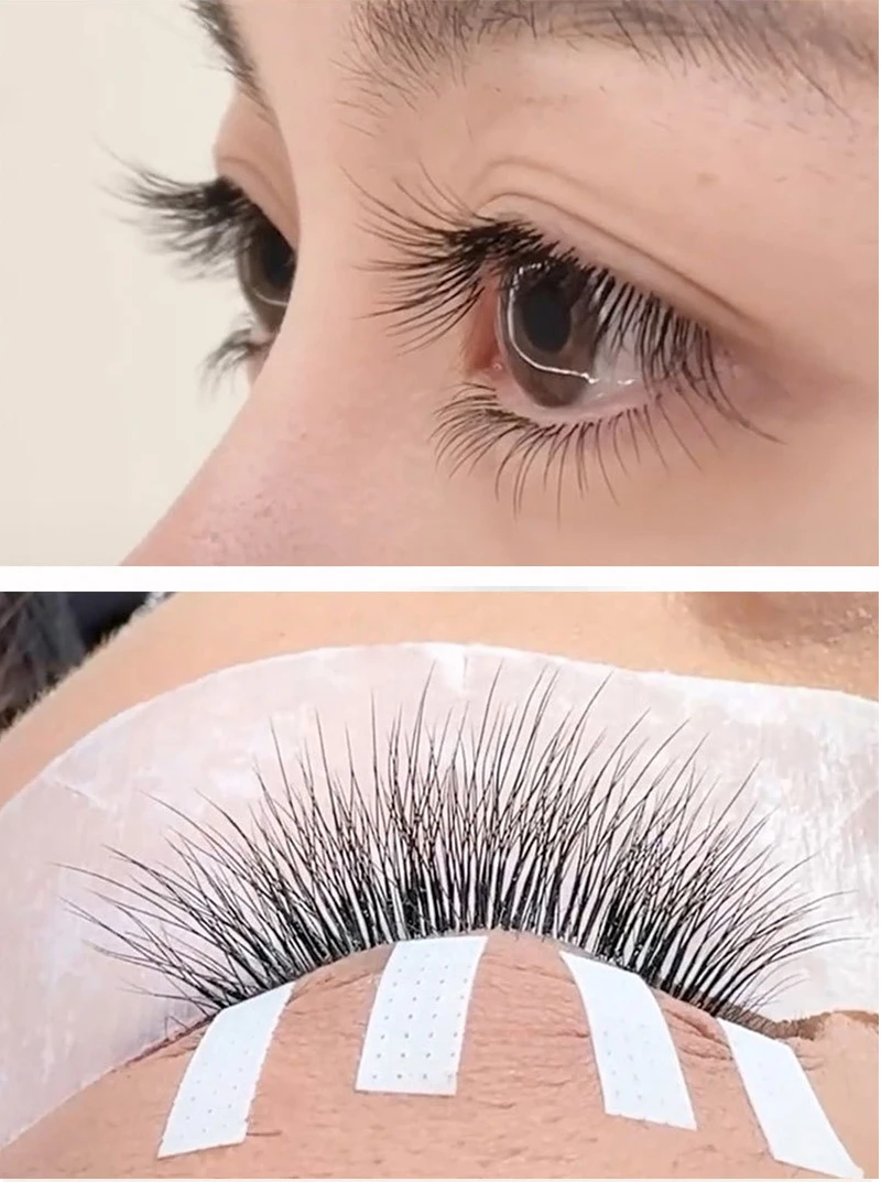 12 Row W Shape Barbie 3D Volume Eyelash Extension False Mink Soft Natural Premade Fans Lash