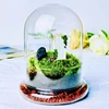 15*35cm Big Size Seperated Glass Dome Vase Home Decoration Transparent Higher Base Cover DIY Friend Gift Wedding Prop 3