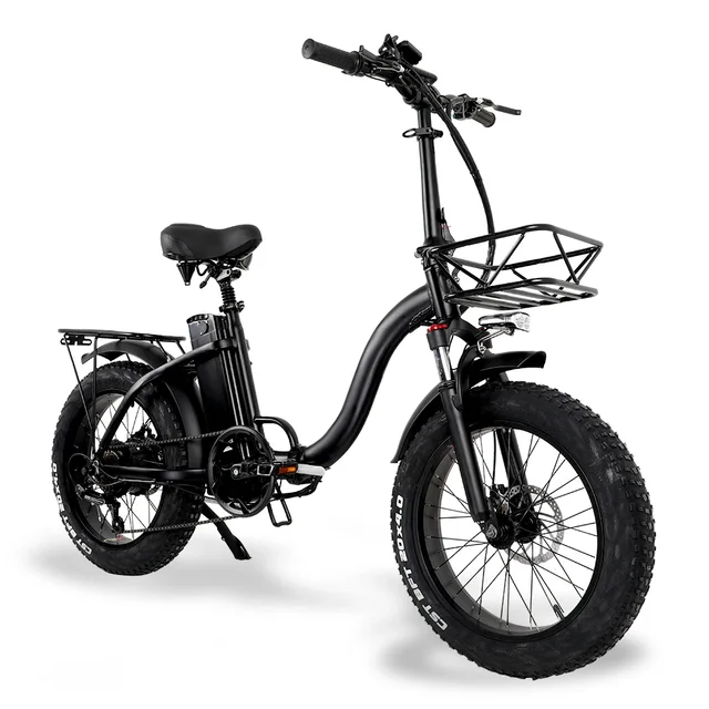 Lafly E-bike 電動自転車 1000W 48V 15ah