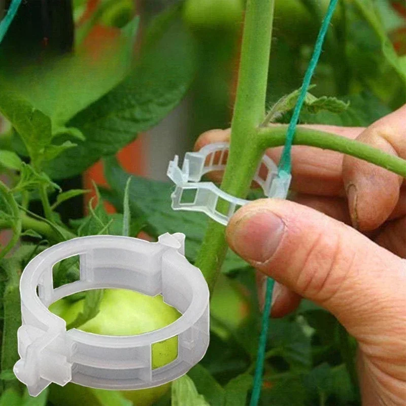 Plant Clips Supports Reusable Plastic Connects Fixing Vine Tomato Stem Grafting Vegetable Plants Orchard and Garden Tools