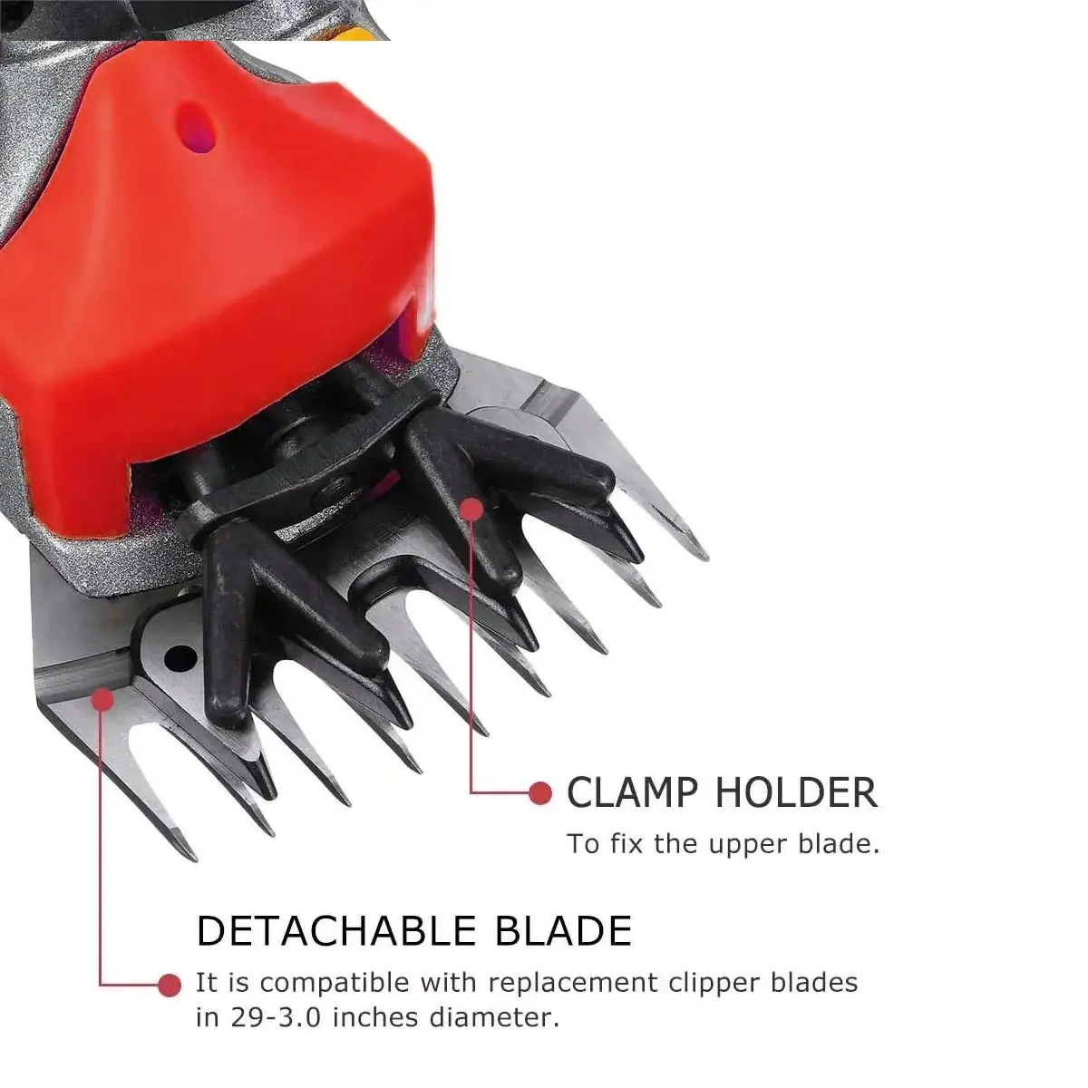 6단 변속 전기 양/염소털 깎기 기계 트리머 자동화 도구 양모 가위 절단기 (박스 포함, 13T 클리퍼)