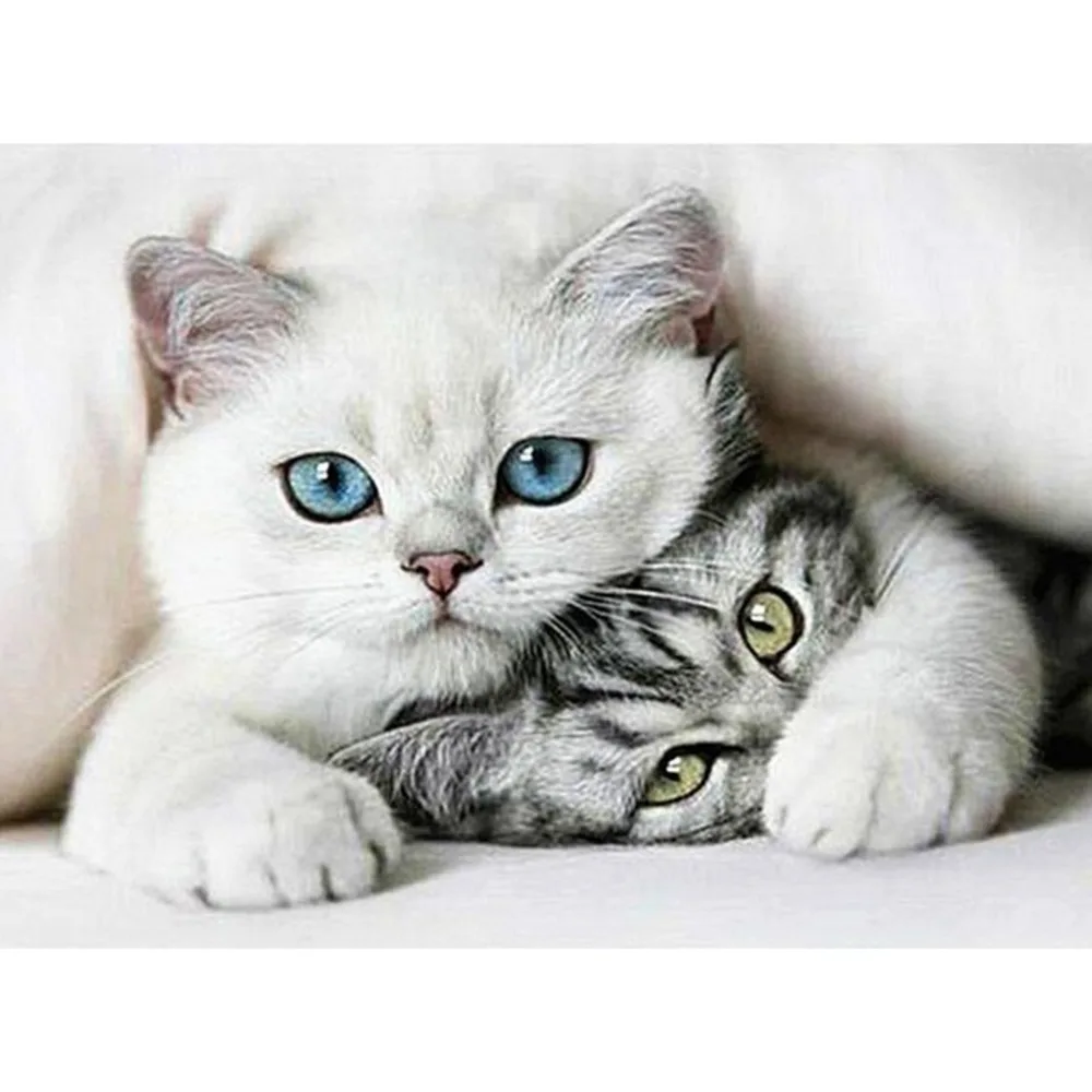Animal Cat DIY Cross Stitch Embroidery 11CT Kits Craft Needlework Printed Canvas Cotton Thread for Home Decoration