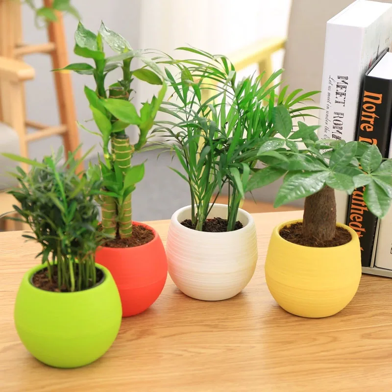 Flower Pot Mini Colourful Round Plastic Plant Flower Pot Garden Home Office Decor Planter Desktop Flower Pots flower pot,plant pot