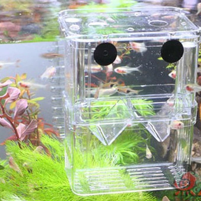 Double-layer transparent fish breeding isolation box aquarium breeder fish tank incubator house household fish aquarium fish breeding box