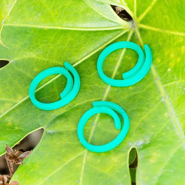 Növényi Csavarás Klip 100Db Zöldségek Paradicsom Szőlő Virág Klipek Csavaráskert Kerti Más Szőlőüzemekhez A Hegymászáshoz - Image 3