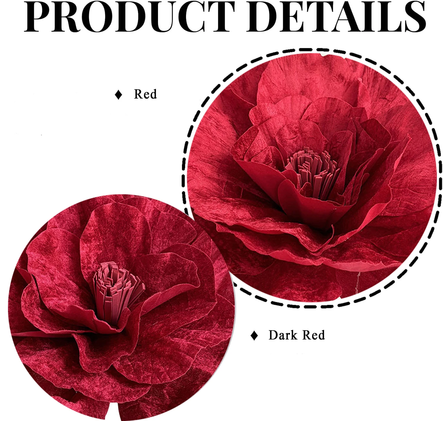 dsc-products
