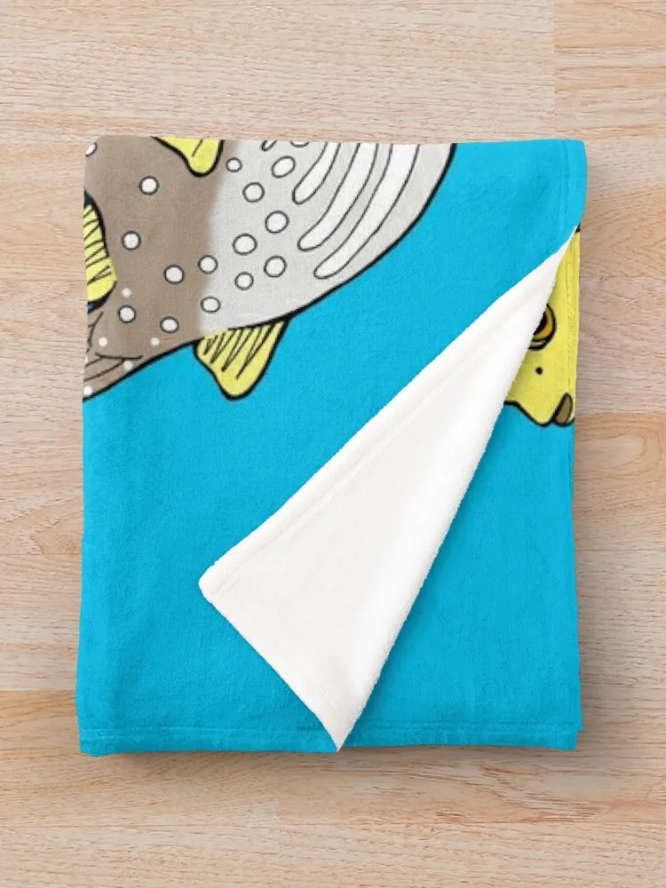 ���� ���� ���� üũ ���� ���, ���� ��� ������