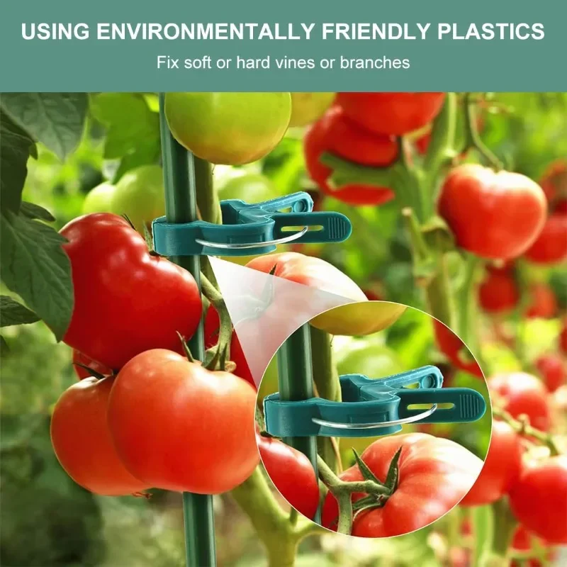 Adjustable Plant Fixed Clips Reusable Greenhouse Vines Bracket Fixing Stems Flower Vine Vegetables Tomatoes Fastener Garden Tool - Image 5