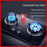 Double Stove Settable Time Desktop, Embedded Kitchen Cooking Bottled Liquefied Gas Pipeline Mounted Natural Gas Gas Stove 2