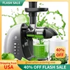 QWJoyBear Cold Press Juicer Machine: Easy to Clean Slow Masticating Juicer Extractor for Veggies and Fruits,92% Juice Yield High 1