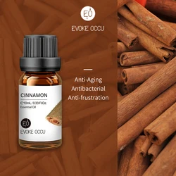 Pure Lavender Jasmine Rose Vanilla Mint Essential Oil Blend for Diffusers, Humidifiers, Massage, Candles, and Soap Making (Cinnamon)