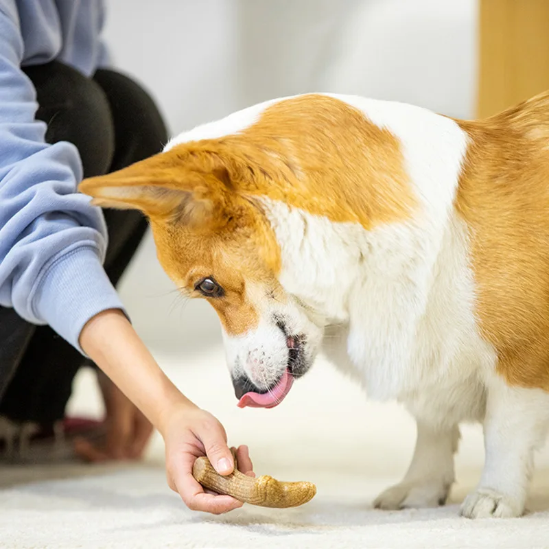 eal Wooden Deer Antlers Dog Chew Toys for Aggressive Chewers Large Dog Chewing Stick Indestructible Tough Durable Pet Toys Gift