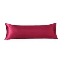 Body Satin Pillow Cover with Envelope Closure,Long Pillow Cases,Soft and Breathable Body Pillowcase,Gift for Sleepers,20x54 Inch 1