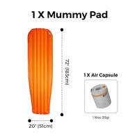 R05 Mummy