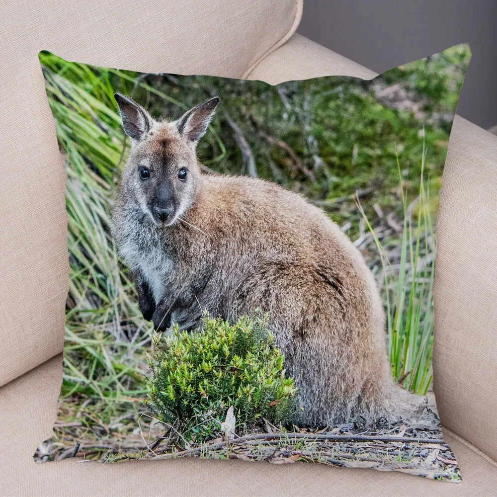 Kangaroo Kangaroo Throw Pillow Cushion Cover Tulip Flower and Animals 