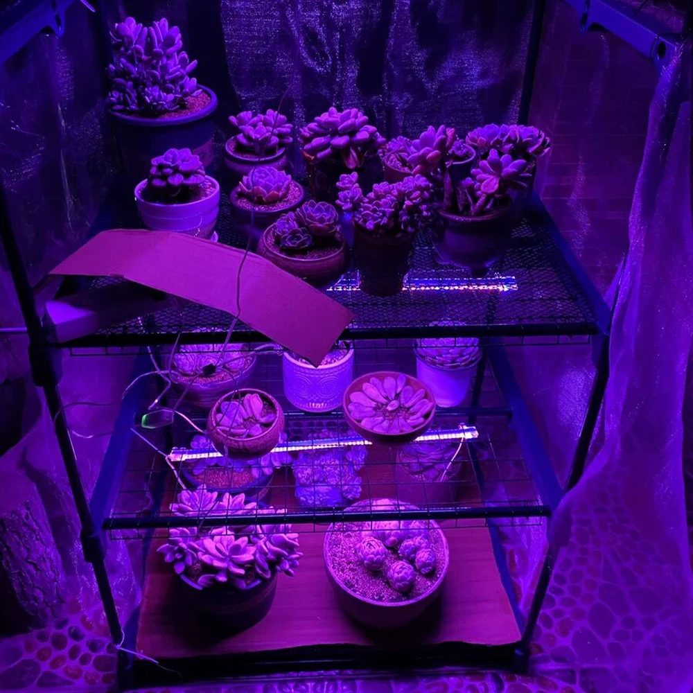 LED Grow Light Grow Light 5PCS Grow light 100W 70W 50W NO Driver COB LED Chip for Spotlight Floodlight 220V 110V Integrated Light Beads Aluminum
