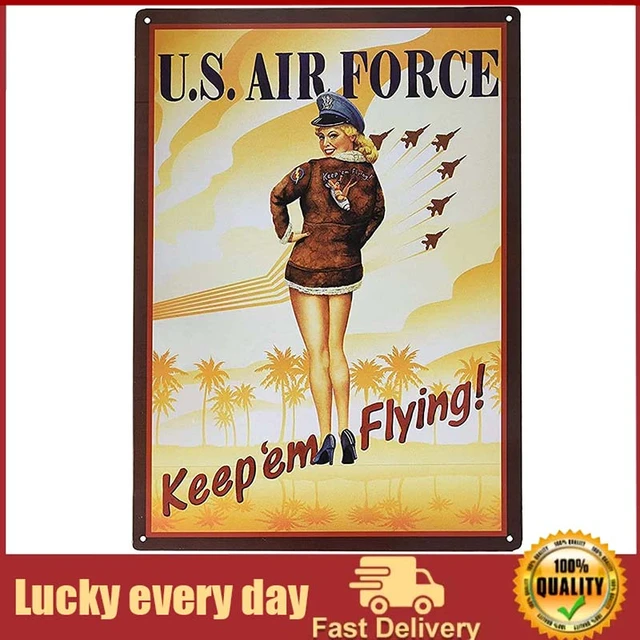 Air Force Funny Posters