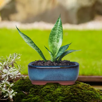 Ceramic Garden Planter Pot With Holes 5