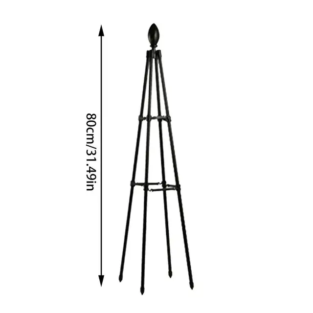 80cm