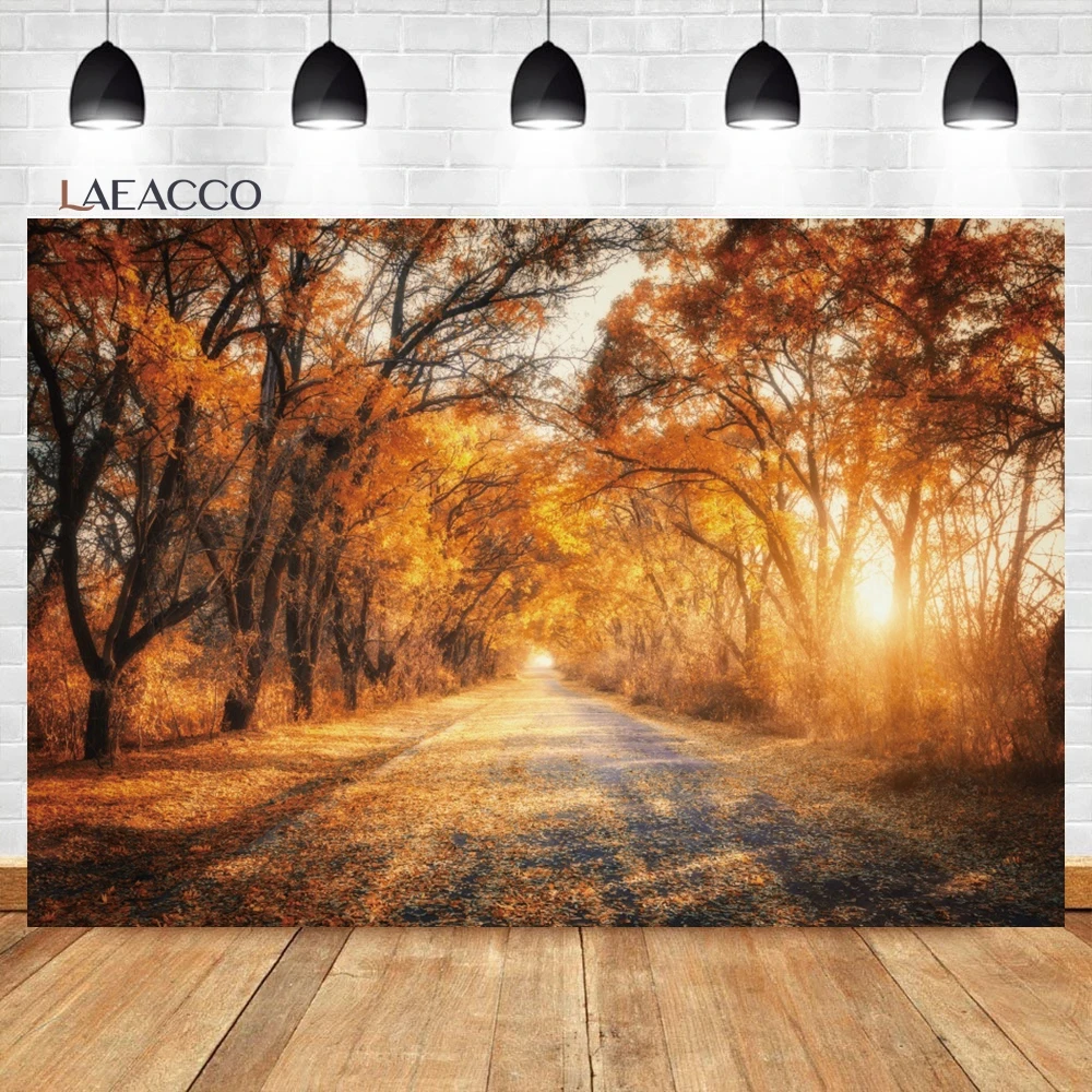 Laeacco   ,   ð ȣ ǳ, ް ,  ʻȭ  