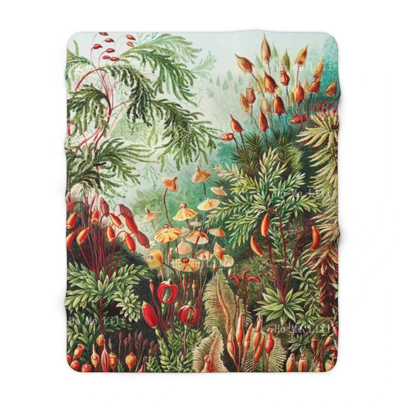 �Ĺ��� ���� ��ȣ ��� �Ĺ� ��Ƽ�� ���� �ö��� ���, �ε巯�� �淮