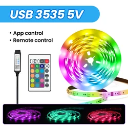 Vibrant Color - Changing LED Strip Lights with Music Sync - Ideal for Parties and Home Decor (Bluetooth 24key)