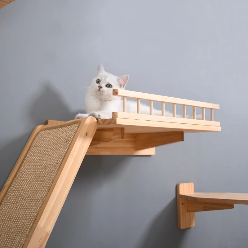 Cat Ramps On Walls