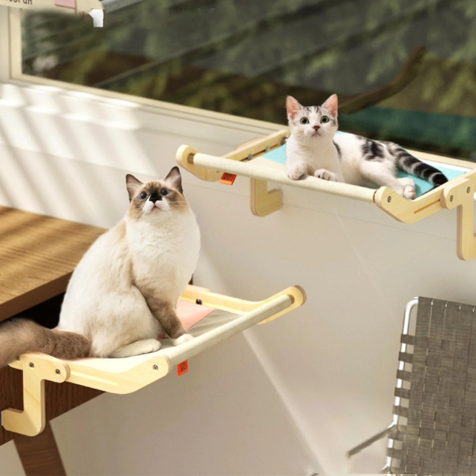 Qican Poleiro para janela de gato Rede para janela de gato Prateleira de  descanso para gatos 360 ° Assento ensolarado para gatos Ventosas montadas  extra grande economizando espaço : : Pet Shop