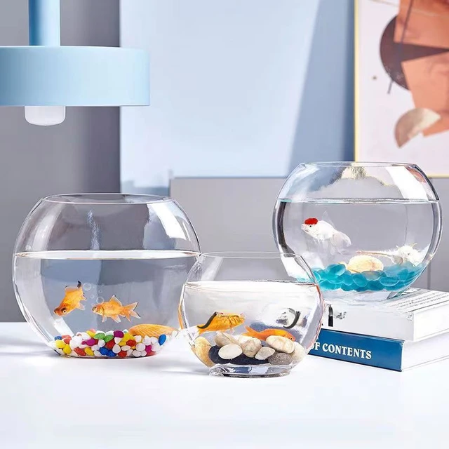 Creative Flat Mouth Glass Fish Tank Oval Transparent Glass Goldfish Tank  Mini Aquarium Small Desktop Decoration - AliExpress