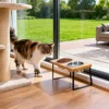 15° tilted heightened pet bowl heightened dog bowl with stainless steel food bowl feeder suitable for cats and puppies
