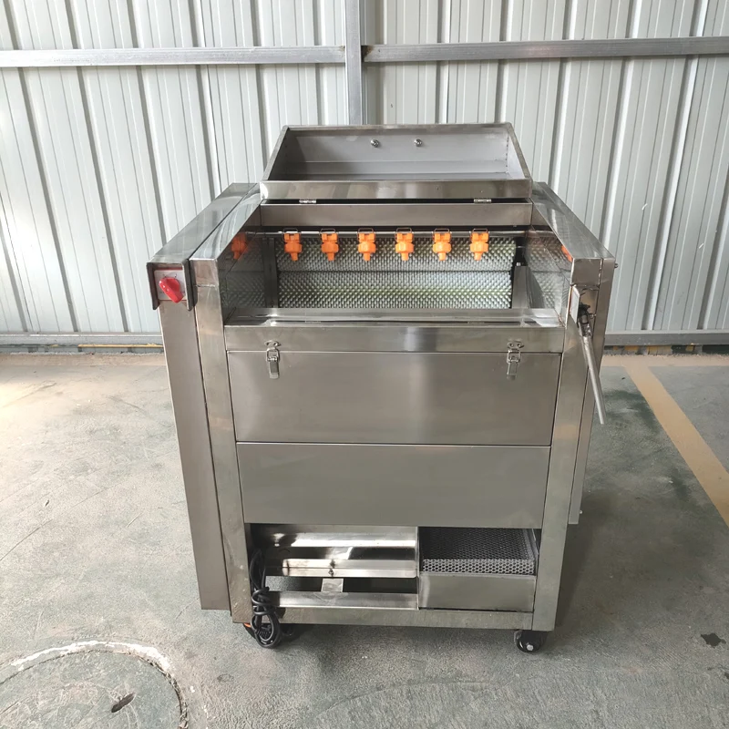 Industrial vegetable potato carrot taro cassava ginger yam root washing and peeling washer peeler machine 2