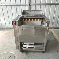 Industrial vegetable potato carrot taro cassava ginger yam root washing and peeling washer peeler machine 2