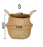 22CM S
