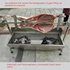 Whole Lamb Oven Commercial Large Stainless Steel Outdoor Charcoal Grill Home Garden Automatic Rotating Lamb Rack 2