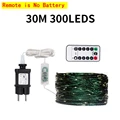 30M 300LEDs