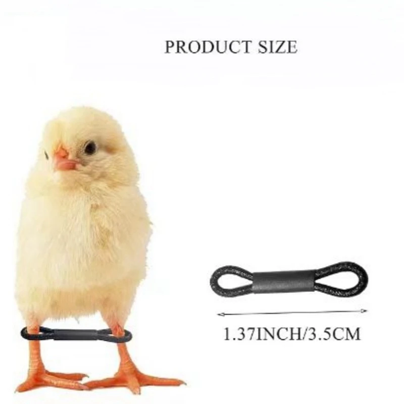 Plastic Poultry Leg Clips 100PCS Baby Chicken Splay Leg Hobble Brace Adjustable Poultry Leg Bands For Newborn Spraddle Chick Bird Quails Ducks 2280782 100PCS Baby Chicken Splay Leg Hobble Brace Adjustable Poultry Leg Bands For Newborn Spraddle Chick Bird Quails Ducks